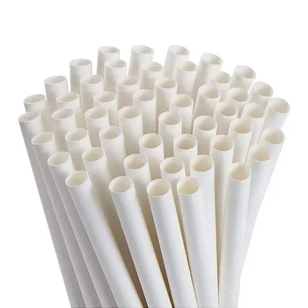 Canudo biodegradável